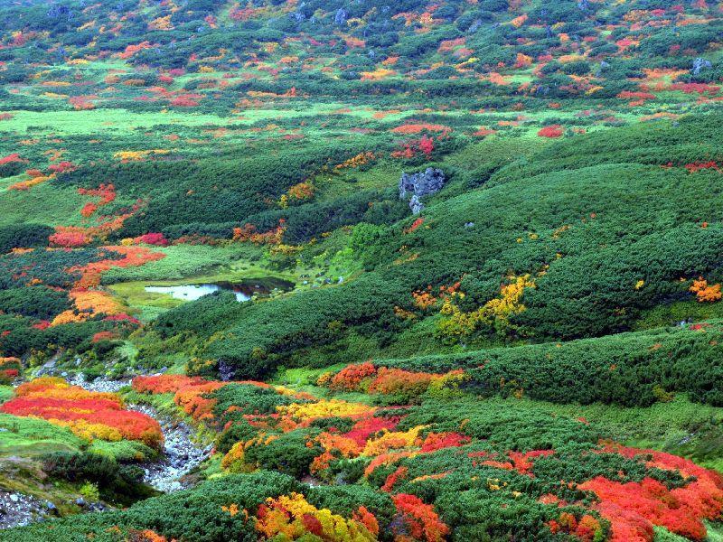 Asahidake Yumoto Yukomanso Higashikawa Exteriör bild